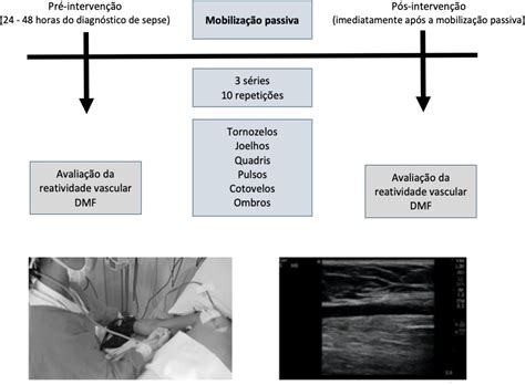 naiara molina|Early passive mobilization increases vascular reactivity response .